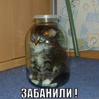 Костя Торопов