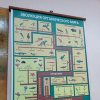 Максим Лавров